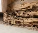 Termites dans une maison près d’un bois abîmé