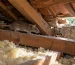 Rat se déplaçant sur une poutre dans des combles isolés
